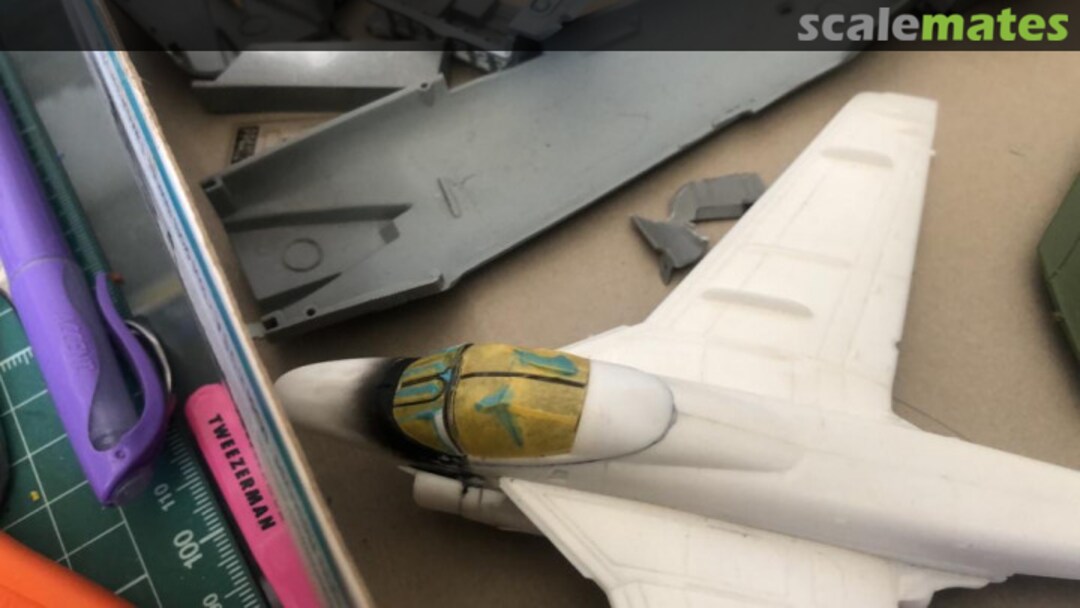 View album, image #1 View album, image #1