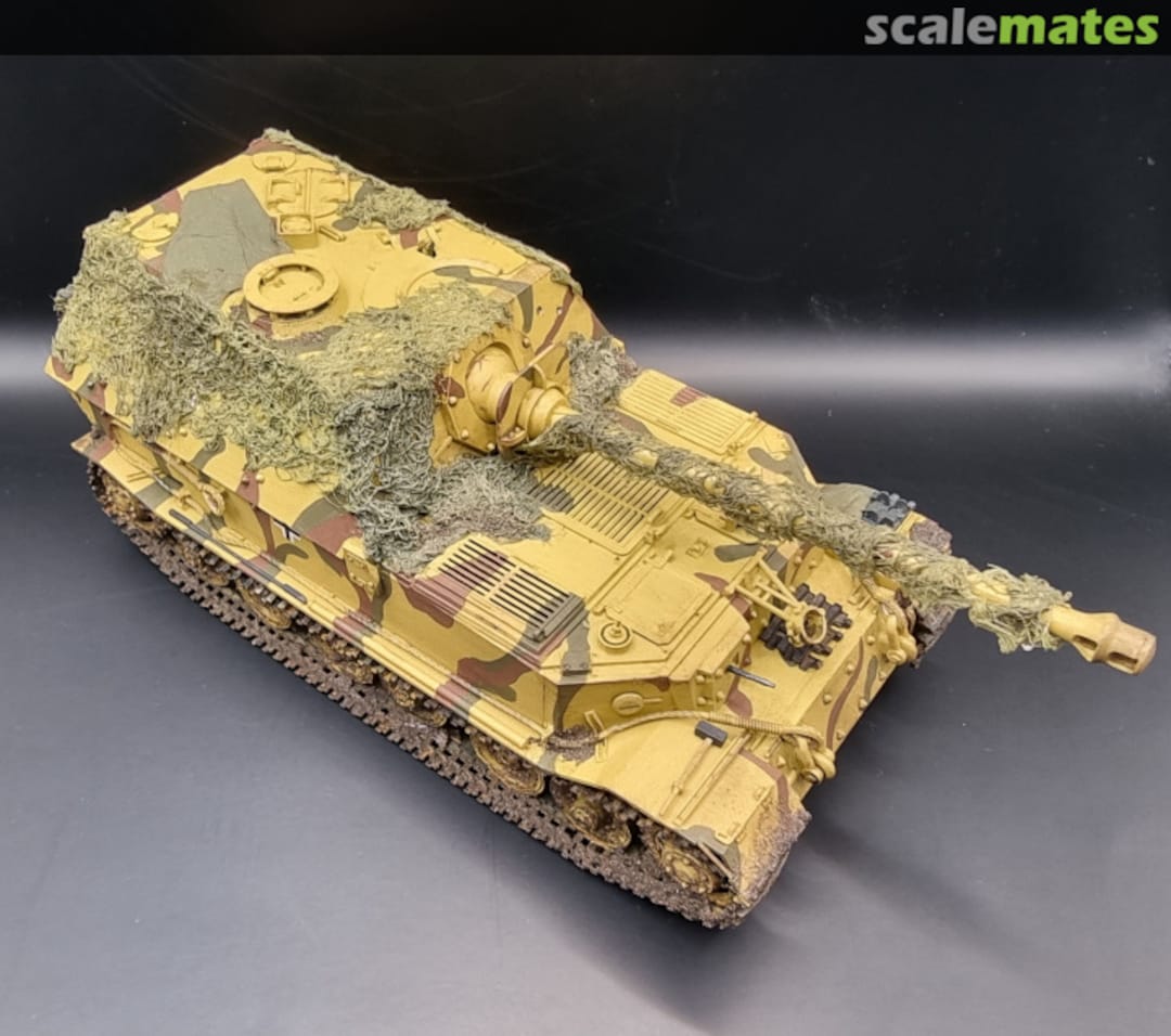 View album, image #1