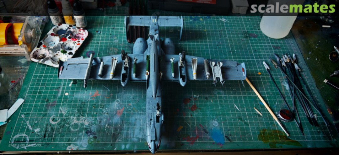 View album, image #31