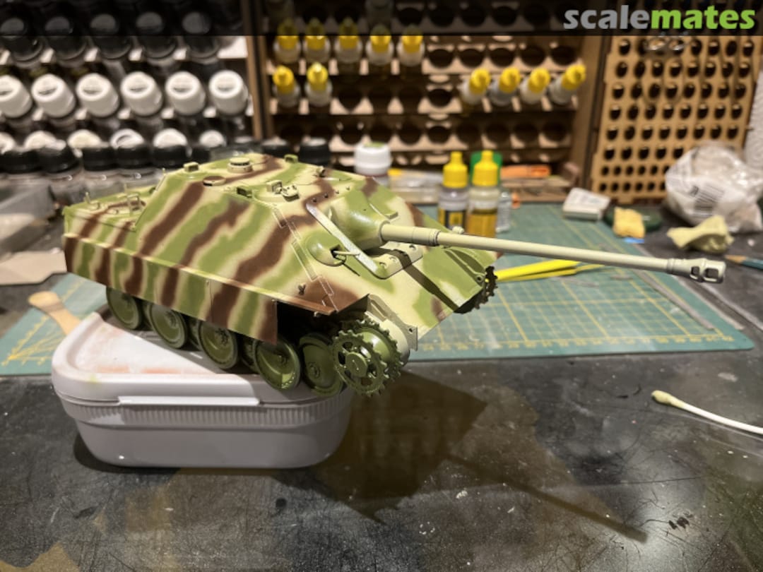 View album, image #12 View album, image #12