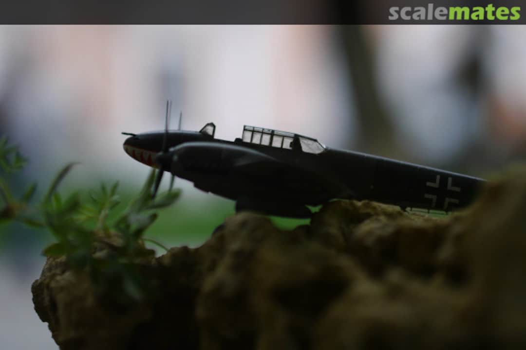 View album, image #7