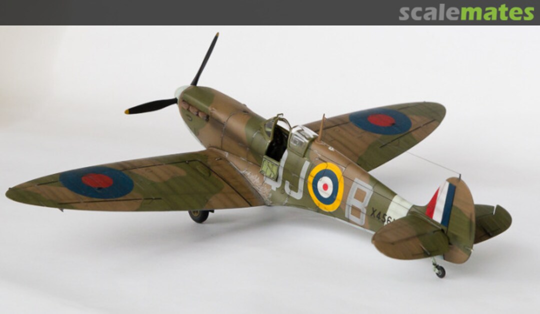 View album, image #1 View album, image #1