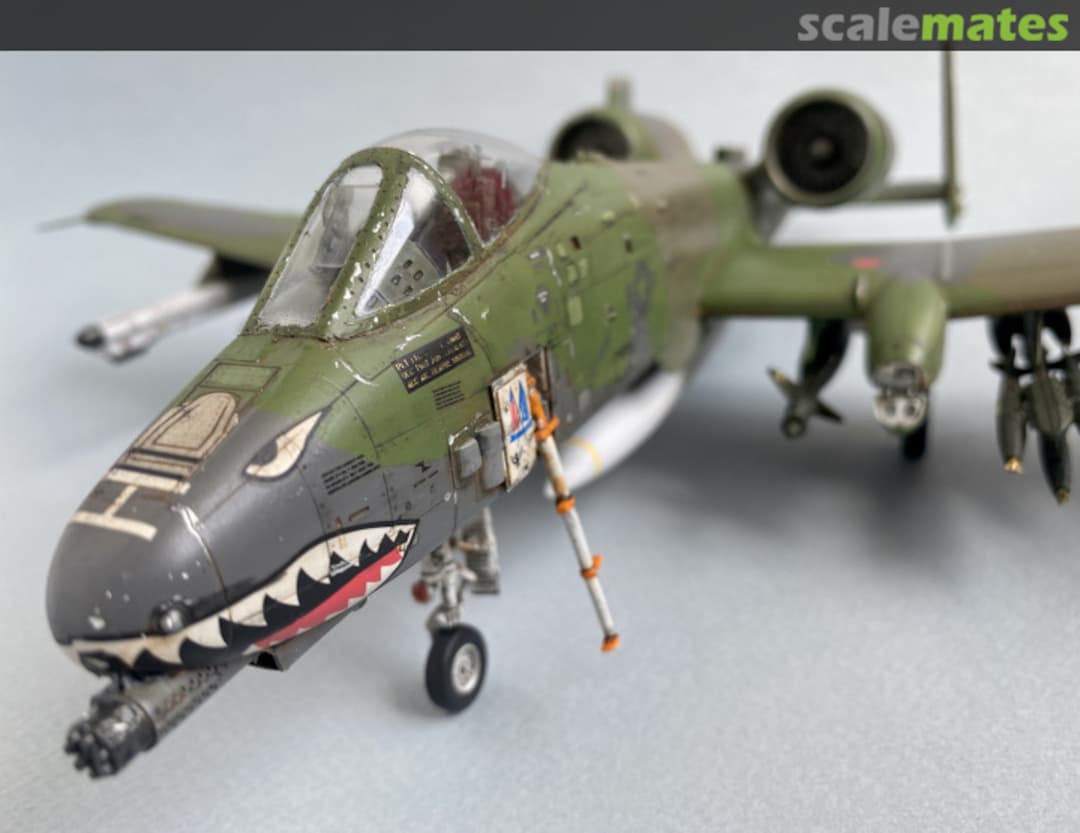 View album, image #27