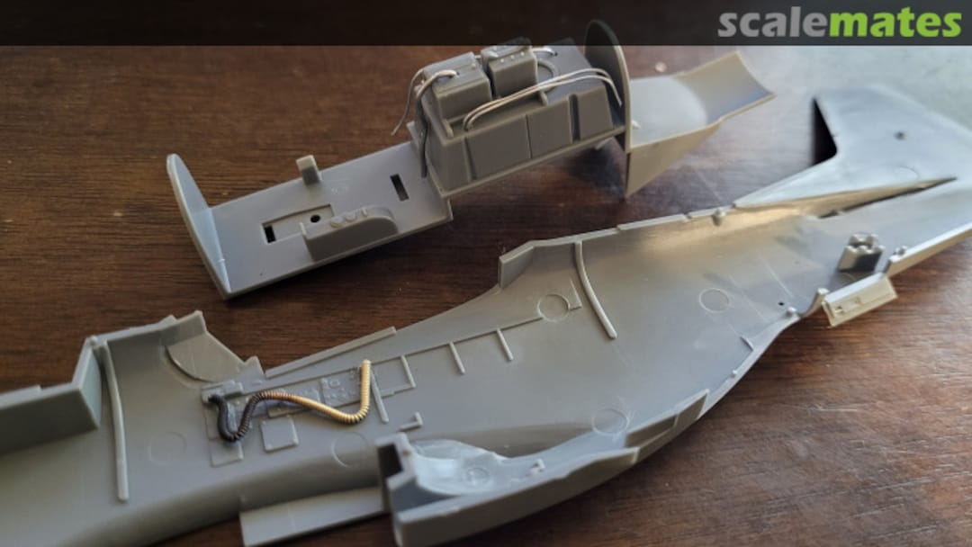 View album, image #1