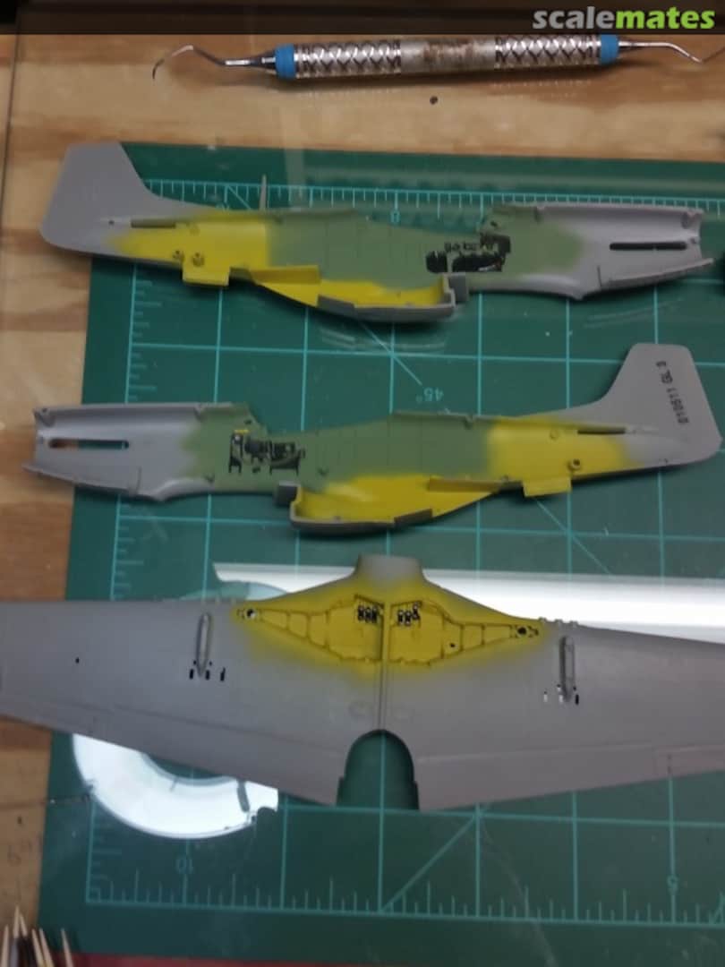 View album, image #1 View album, image #1