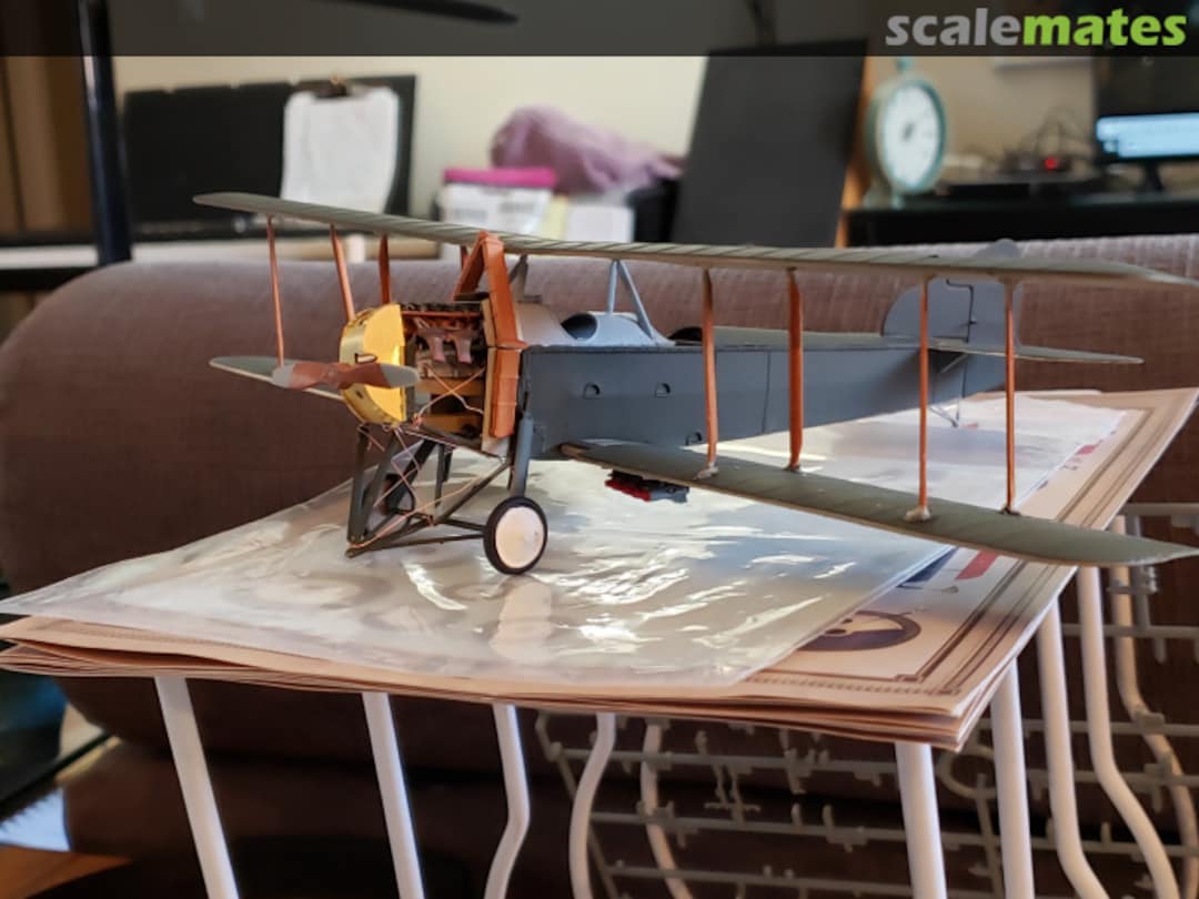 View album, image #1 View album, image #1