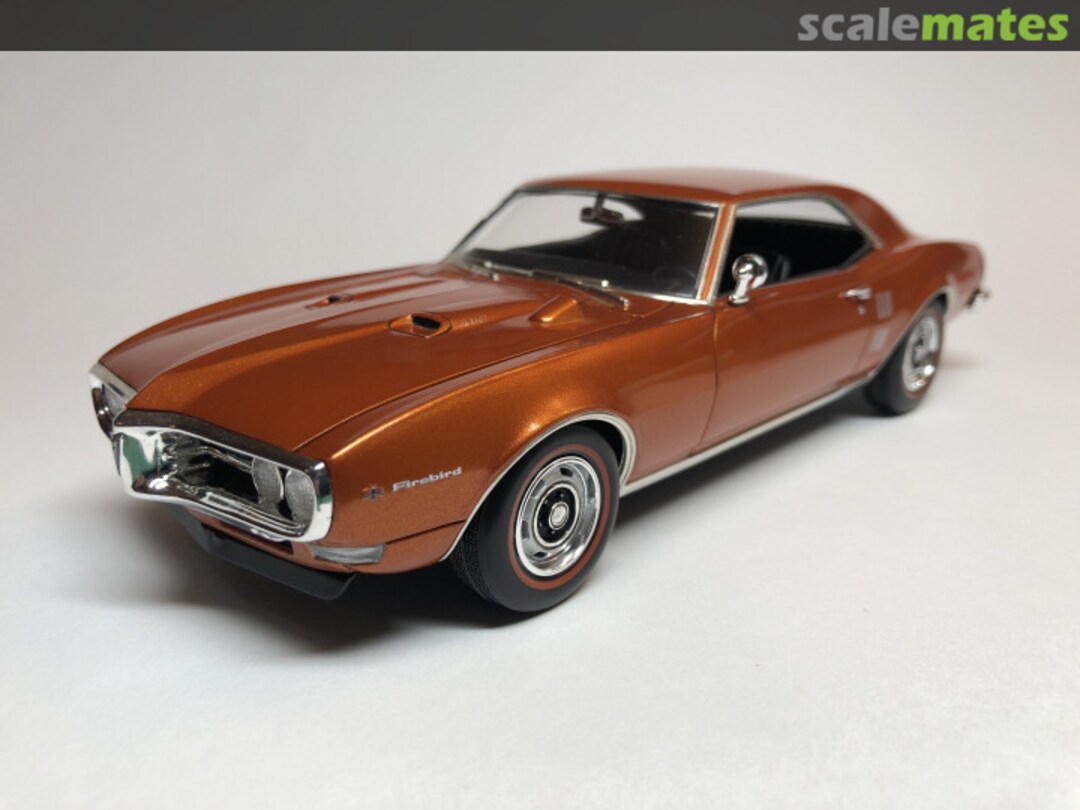 View album, image #1