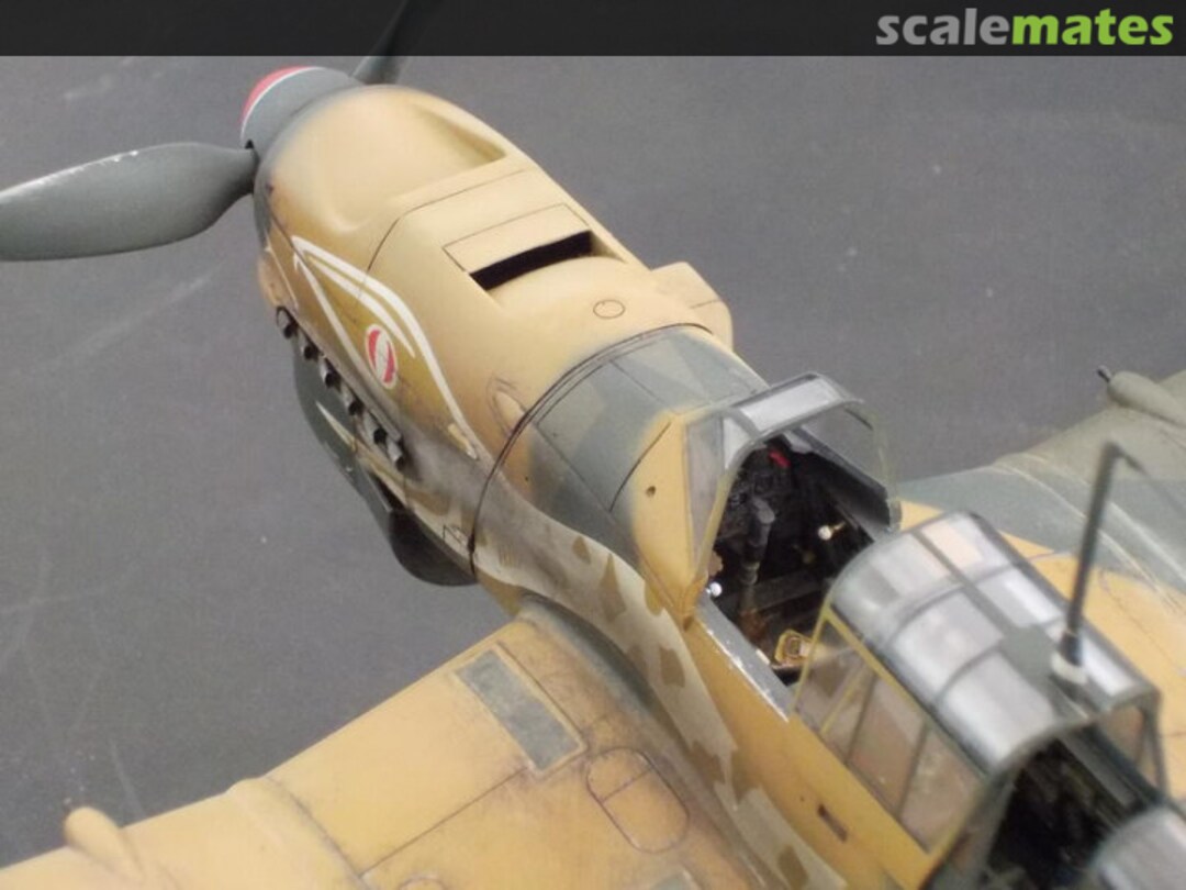 View album, image #1