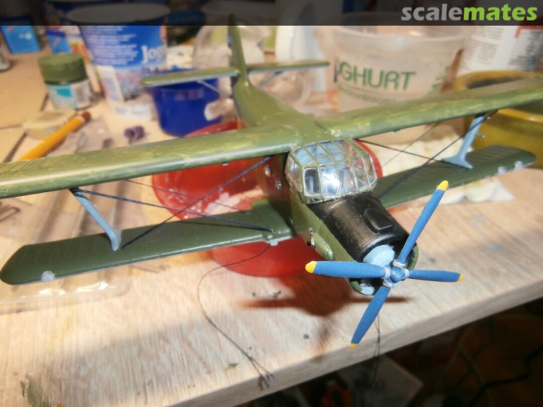 View album, image #28 View album, image #28