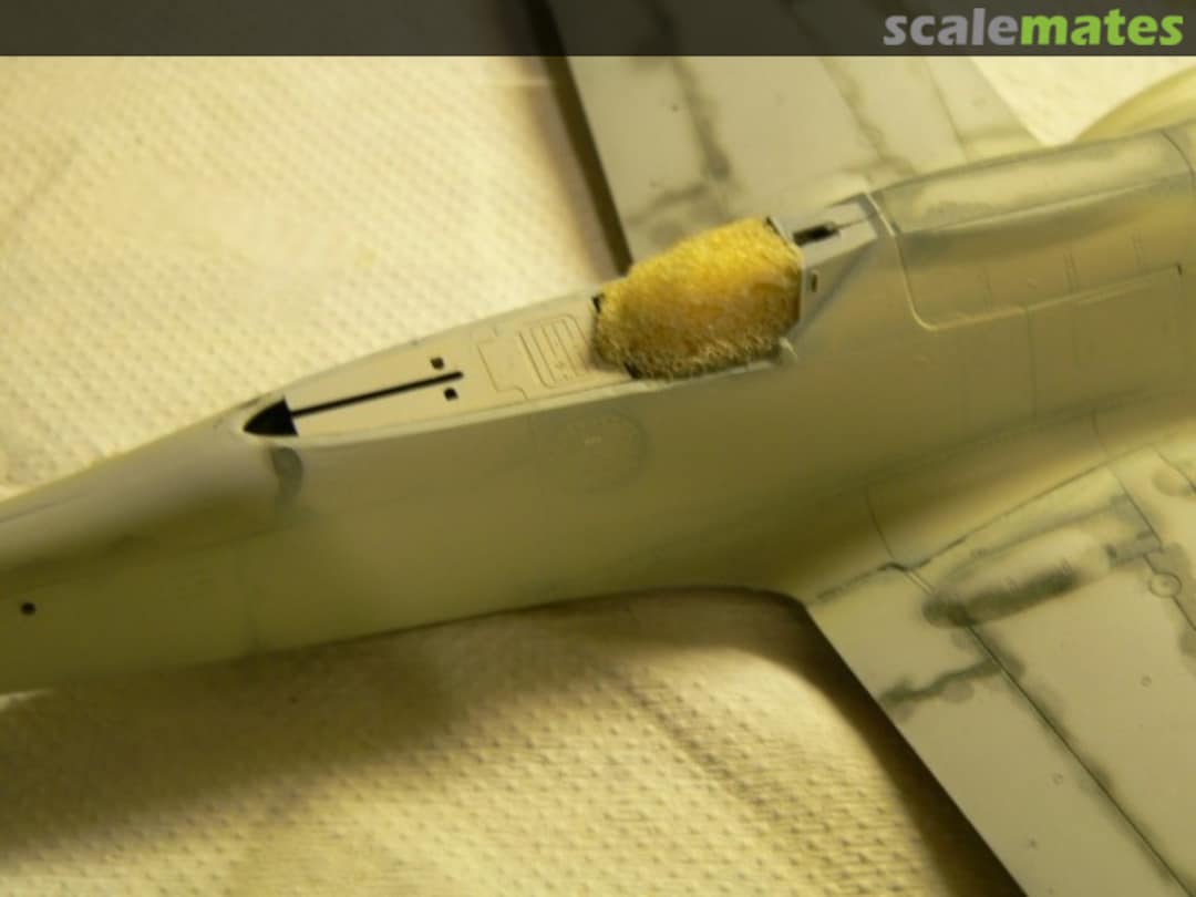 View album, image #1