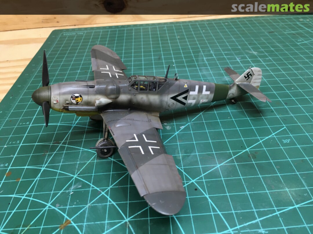 View album, image #8