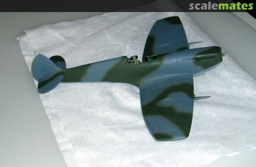 View album, image #1 View album, image #1