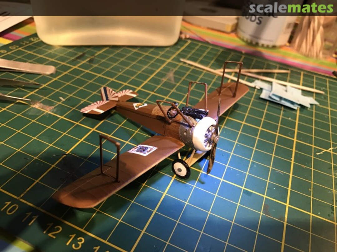 View album, image #6 View album, image #6