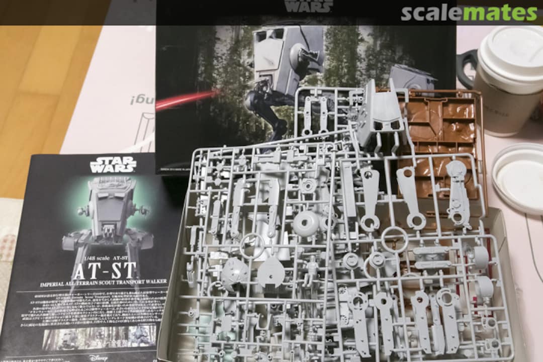 View album, image #1