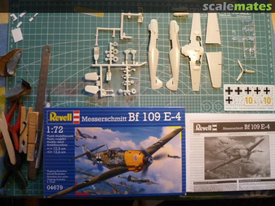 View album, image #1 View album, image #1