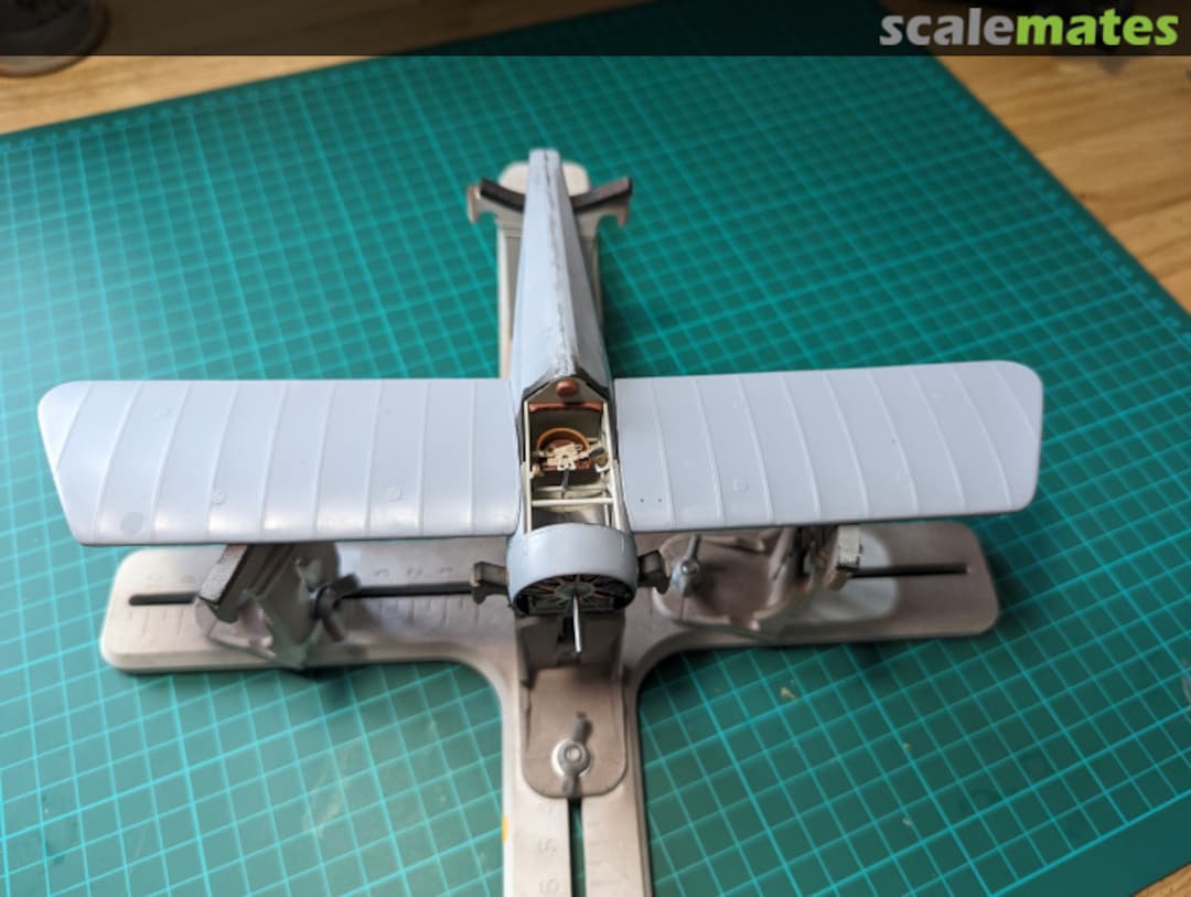 View album, image #37 View album, image #37