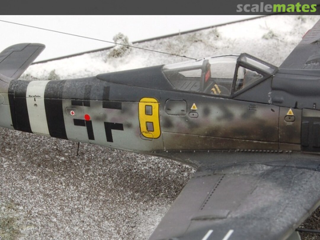 View album, image #1 View album, image #1