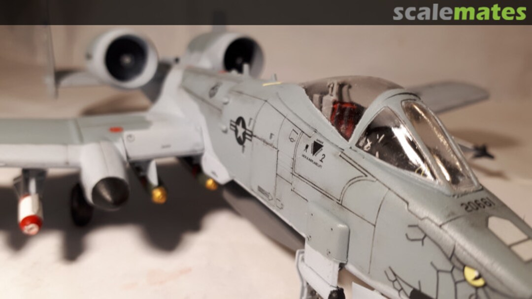 View album, image #13 View album, image #13