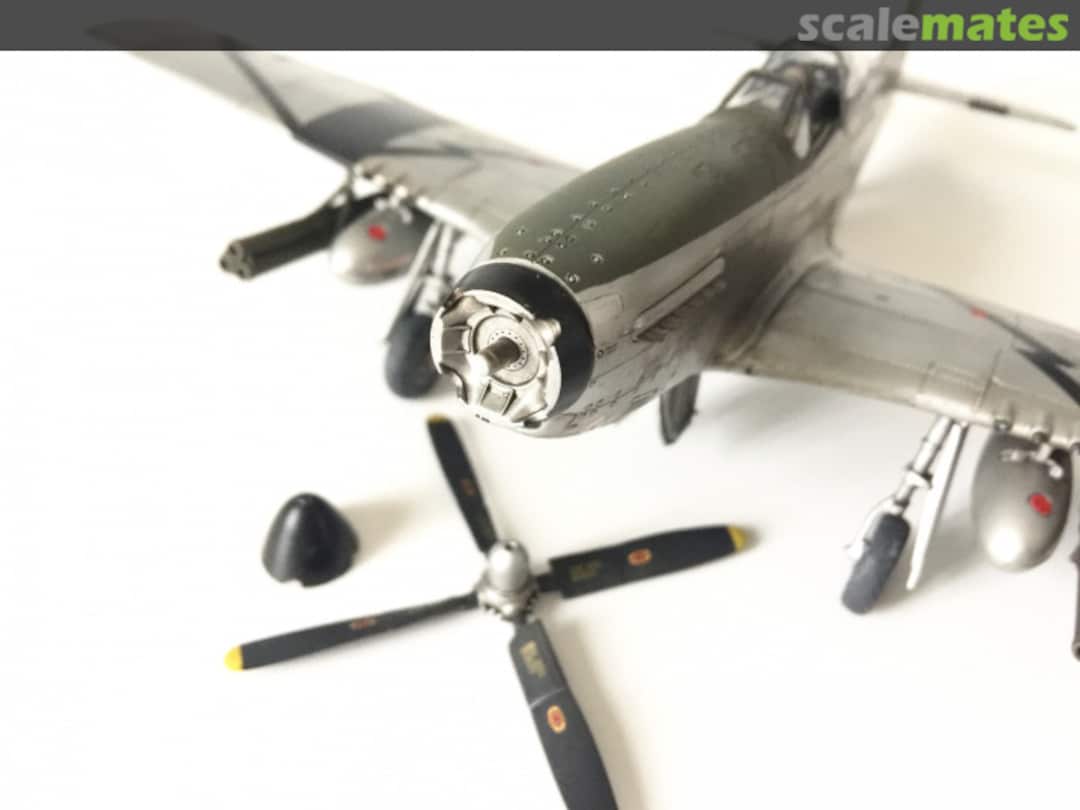 View album, image #1 View album, image #1