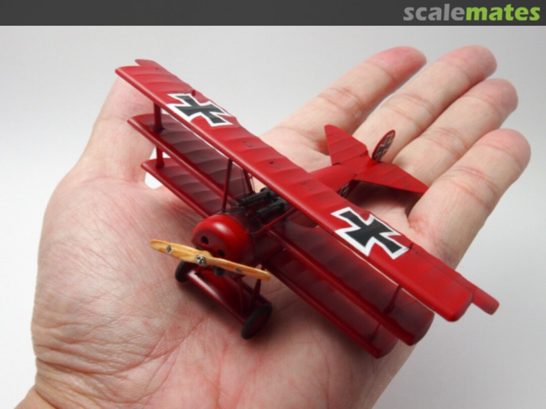 View album, image #11