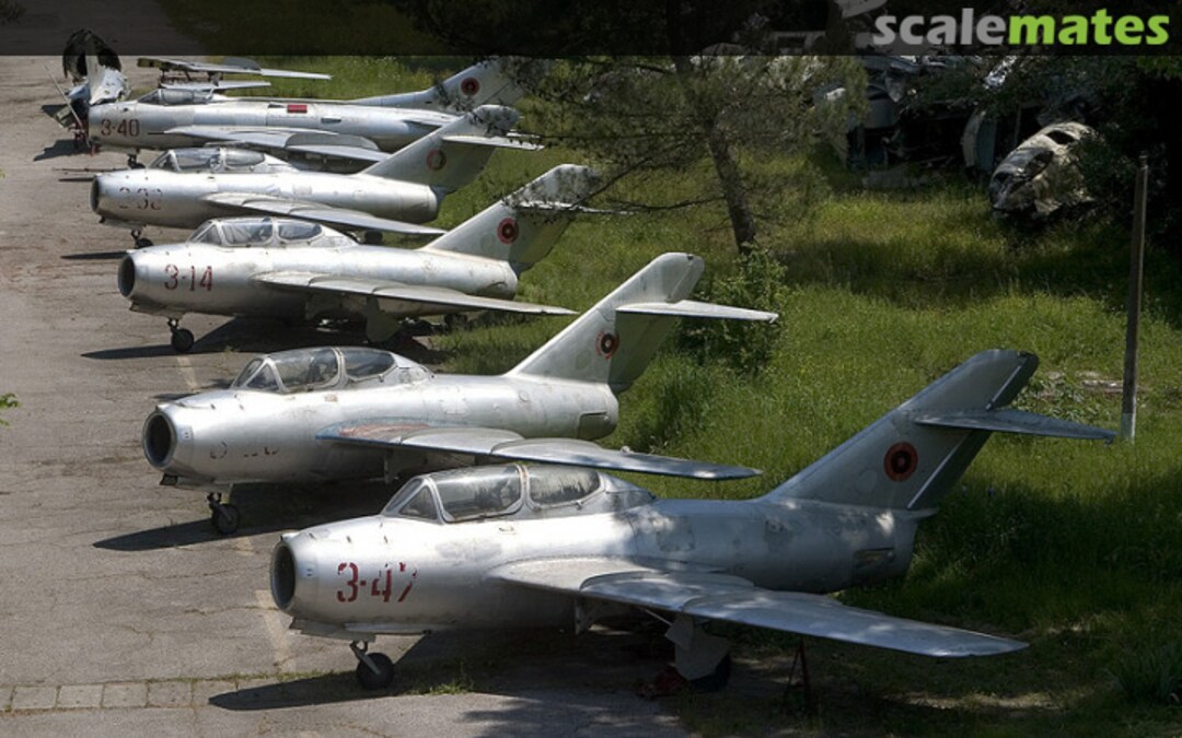 View album, image #1 View album, image #1