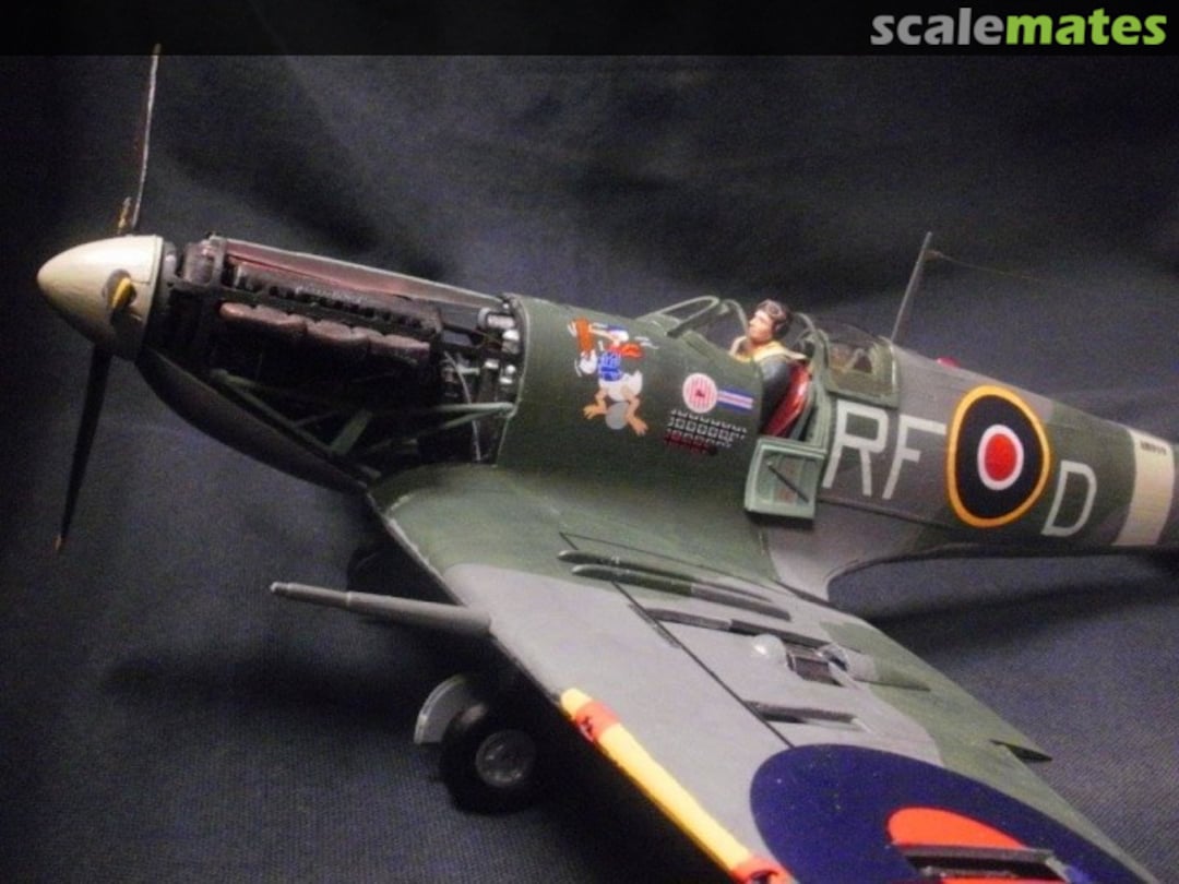 View album, image #26 View album, image #26