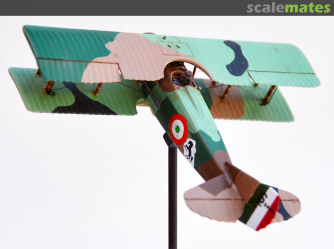 View album, image #3