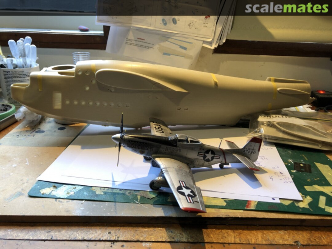 View album, image #3 View album, image #3