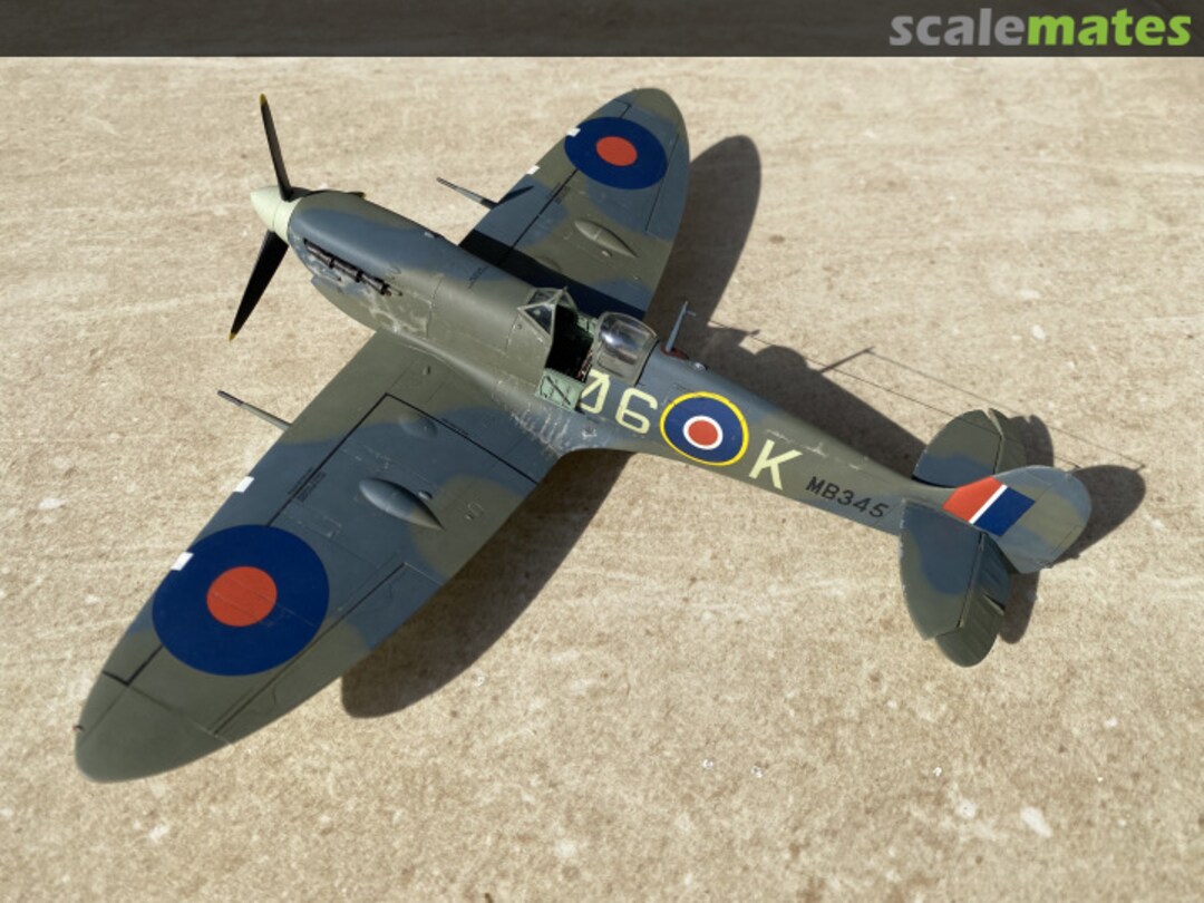 View album, image #1 View album, image #1