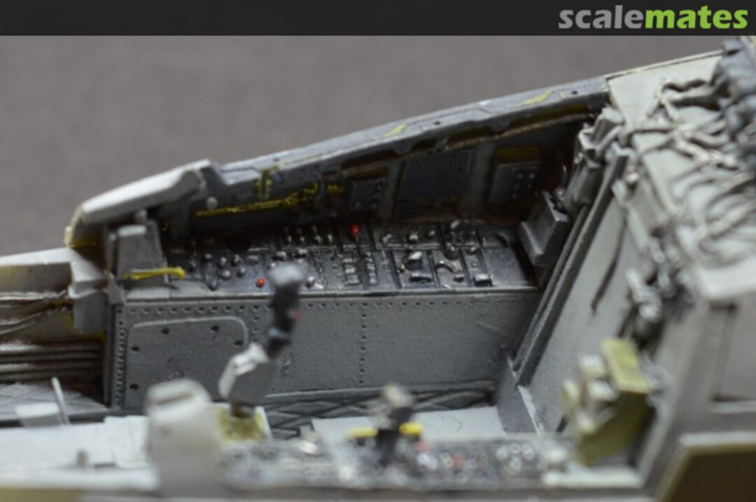 View album, image #17 View album, image #17