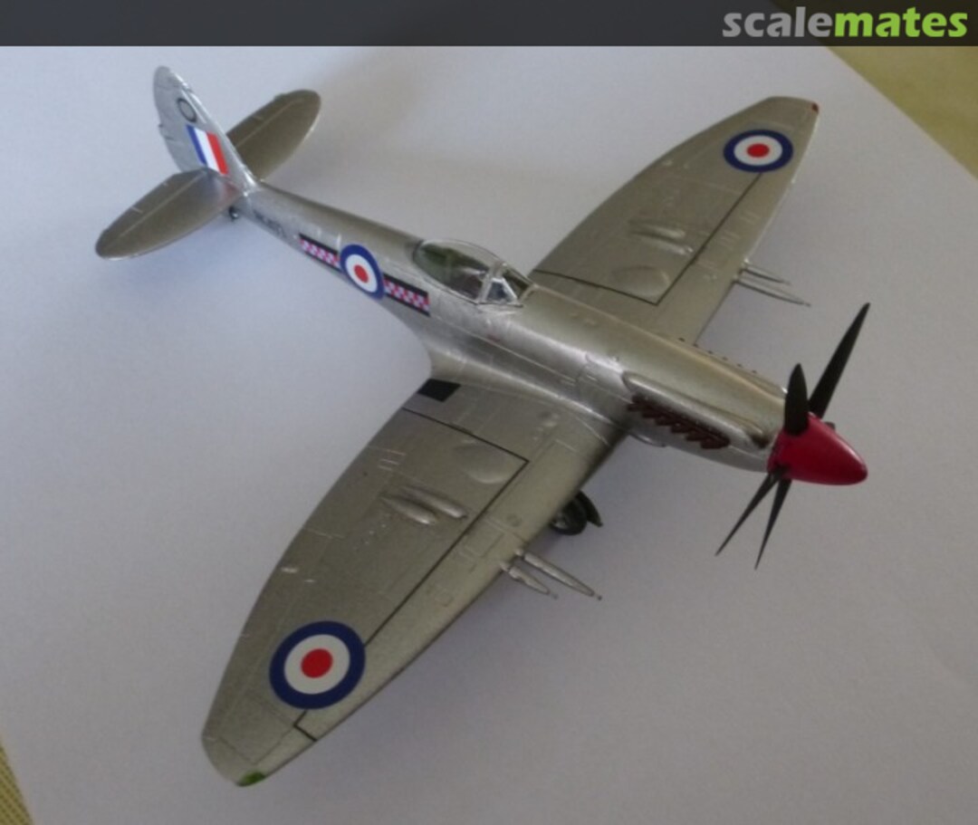 View album, image #1 View album, image #1