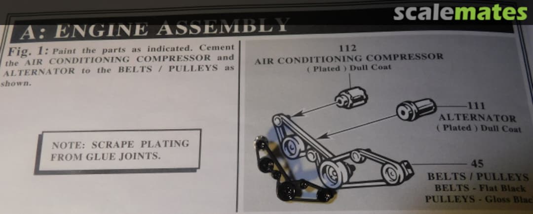 View album, image #1 View album, image #1