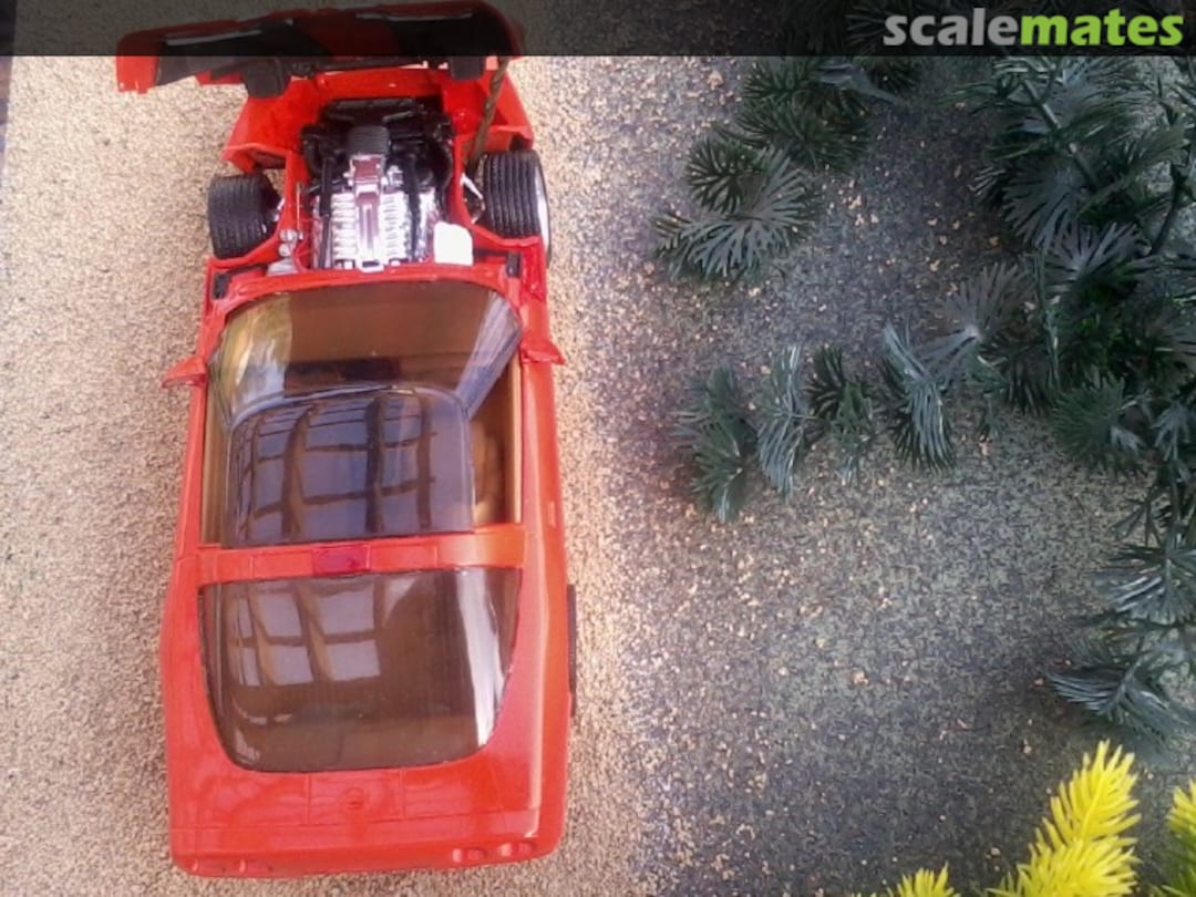 View album, image #1 View album, image #1