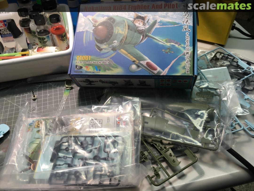 View album, image #1 View album, image #1