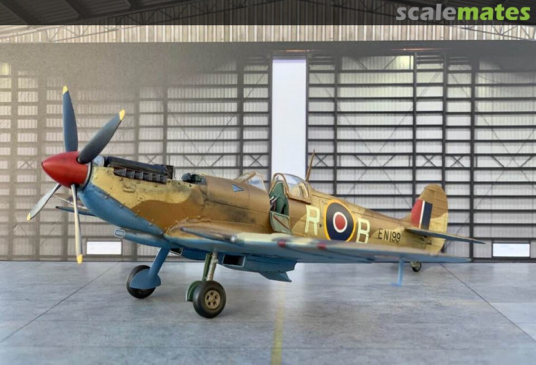 View album, image #1 View album, image #1