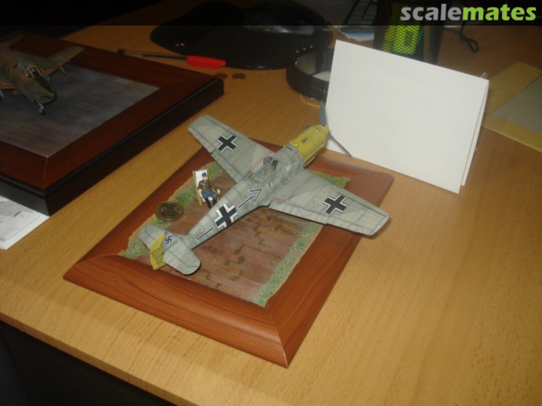 View album, image #9 View album, image #9