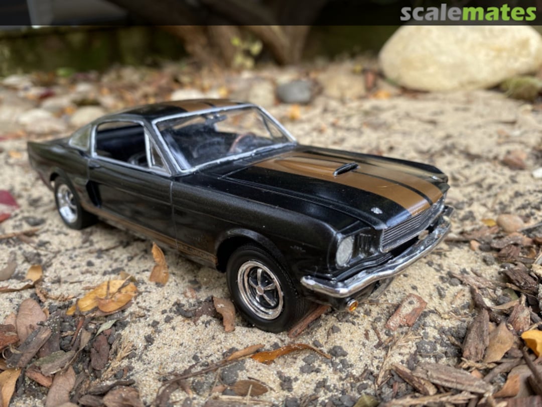 View album, image #2