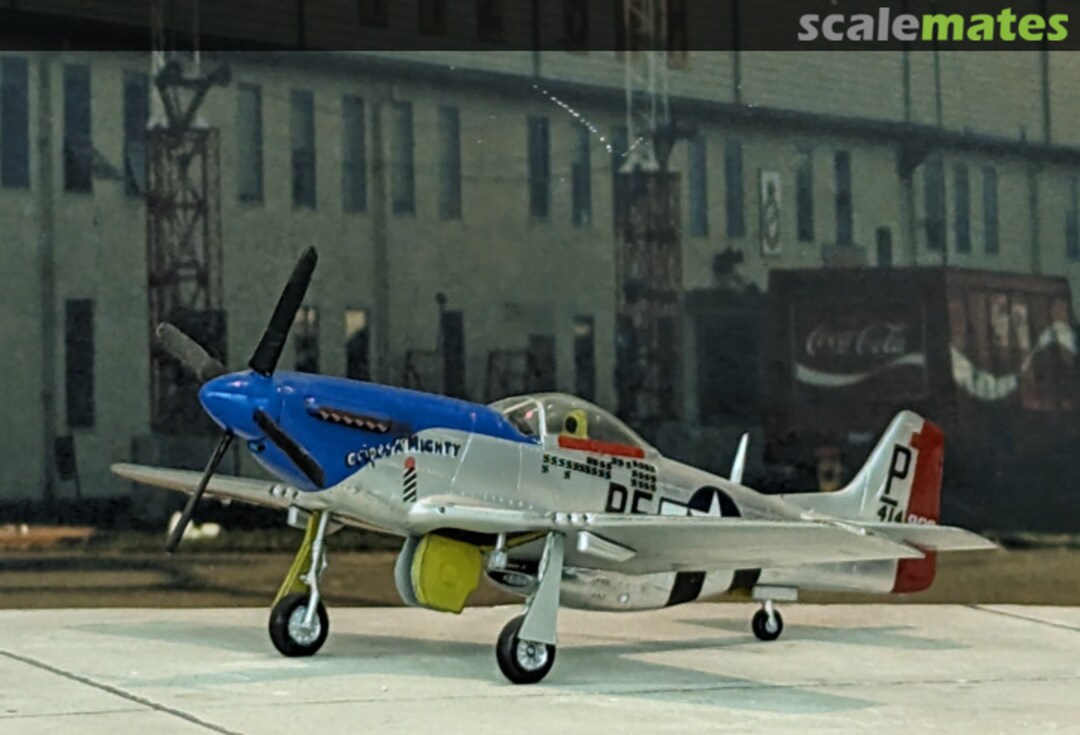 View album, image #1 View album, image #1