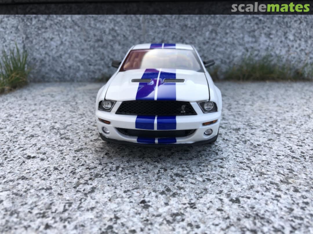 View album, image #1