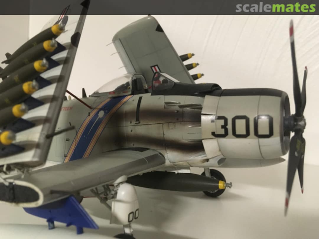 View album, image #3 View album, image #3