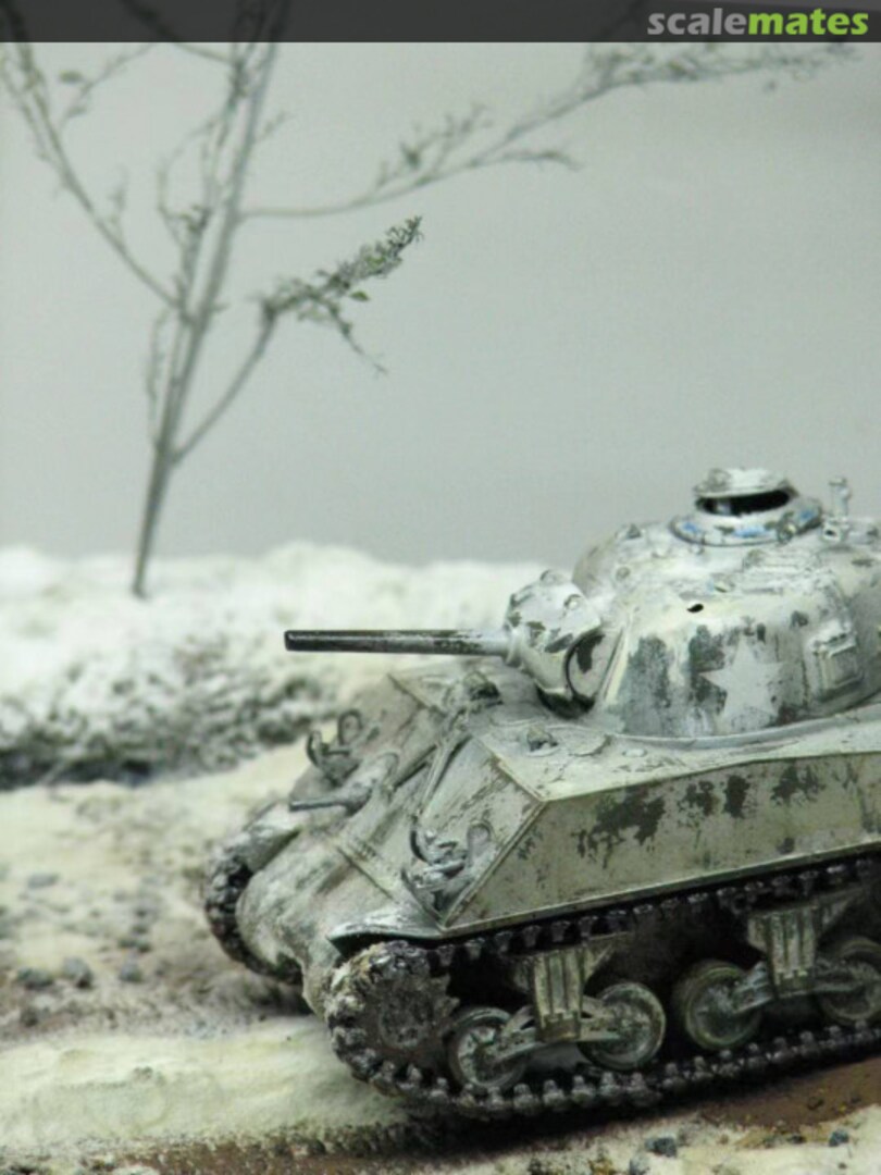 View album, image #1 View album, image #1