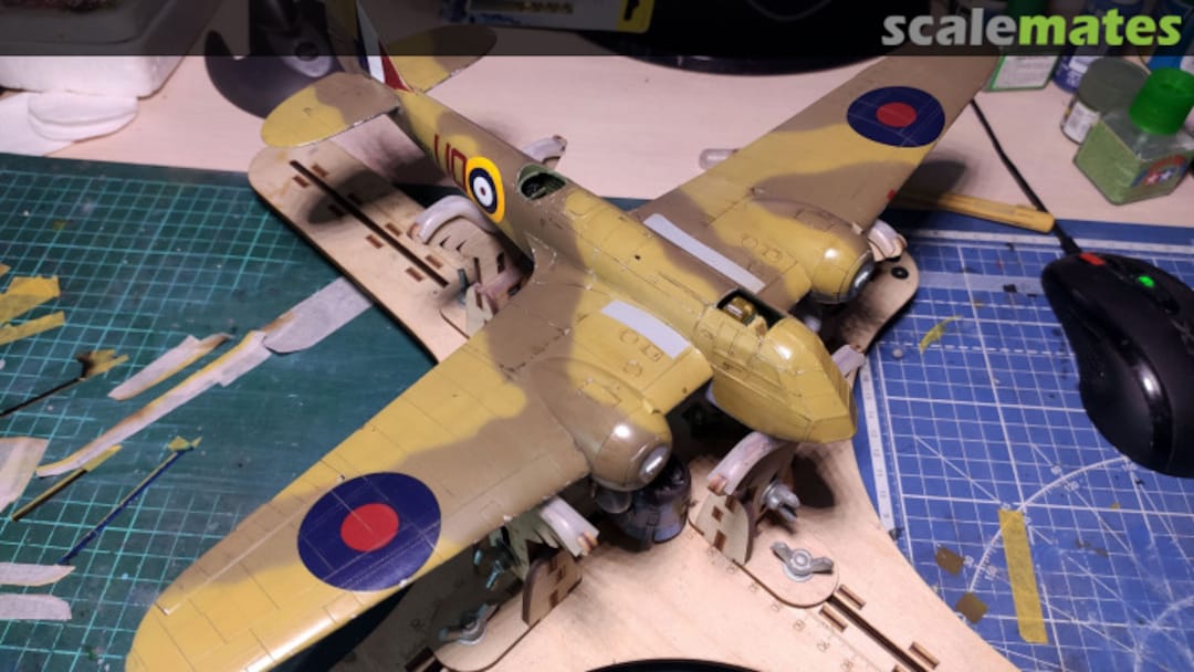 View album, image #1 View album, image #1