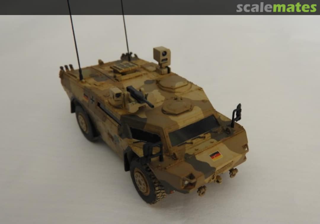 View album, image #12 View album, image #12