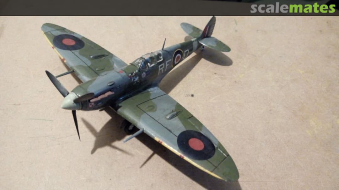 View album, image #1 View album, image #1