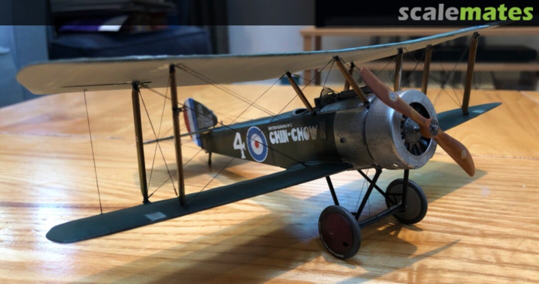 View album, image #14 View album, image #14