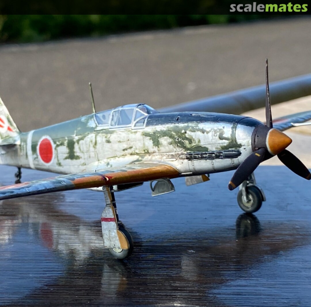 View album, image #1 View album, image #1