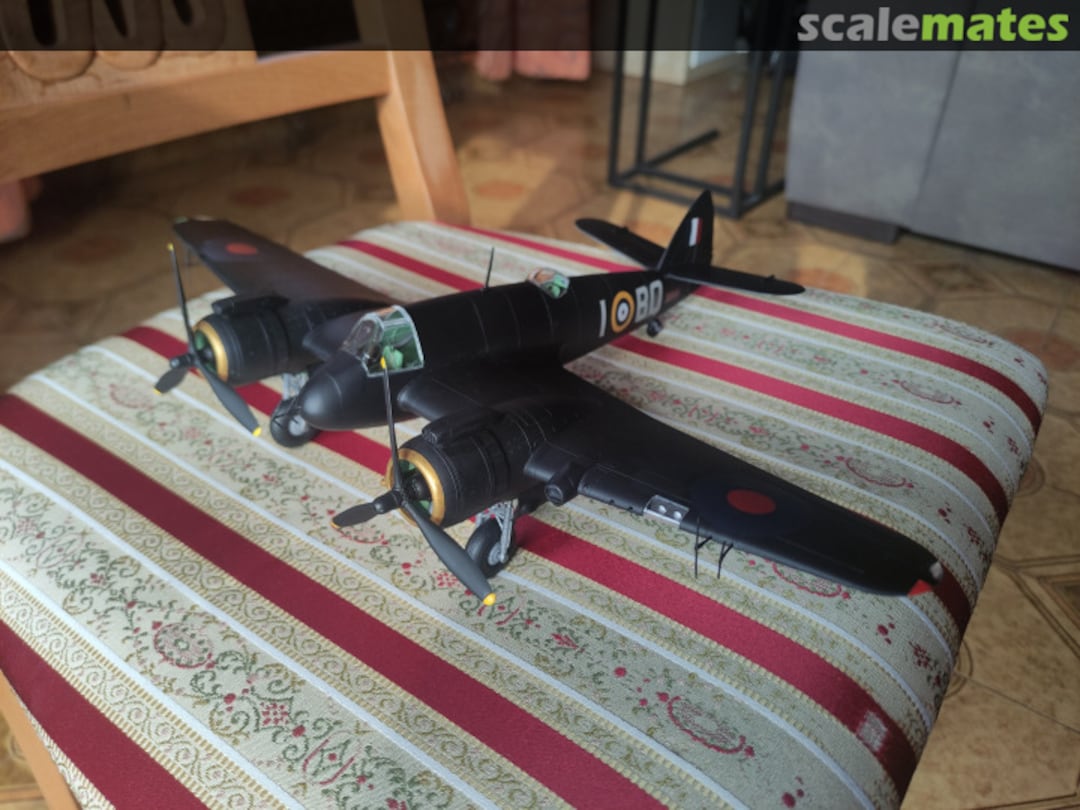 View album, image #1 View album, image #1