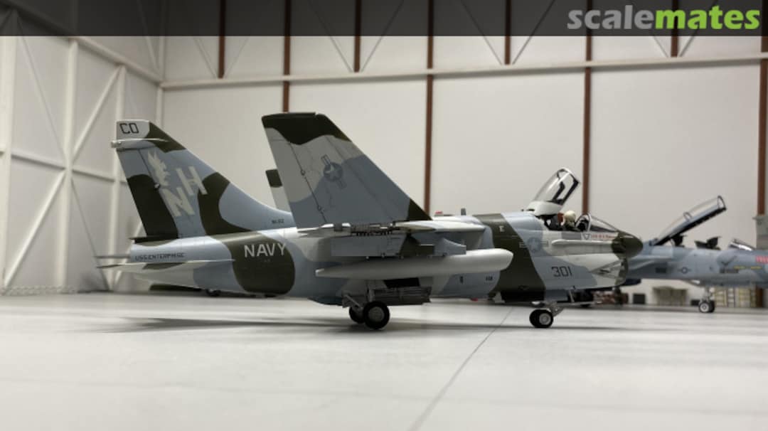 View album, image #1 View album, image #1