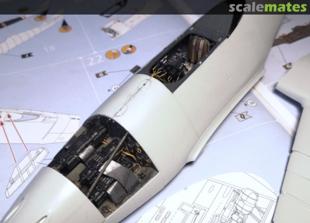 View album, image #10 View album, image #10