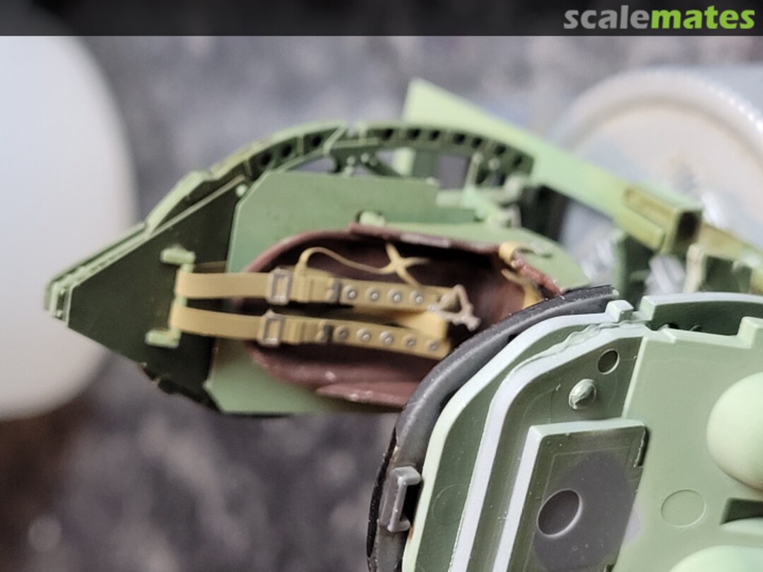 View album, image #1 View album, image #1